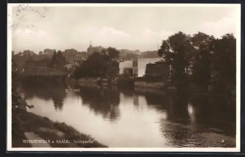 AK Weissenfels a. Saale, Saalepartie