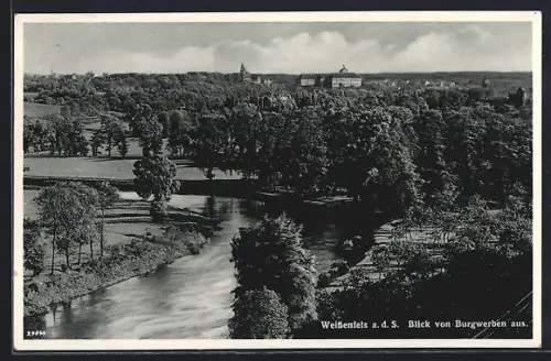 AK Weissenfels a. d. S., Blick von Burgwerben aus