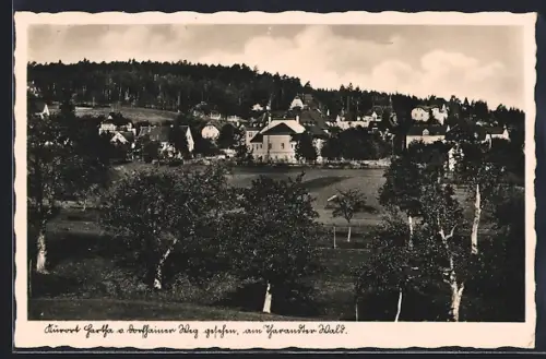 AK Hartha /Tharandter Wald, Blick vom Dorfhainer Weg
