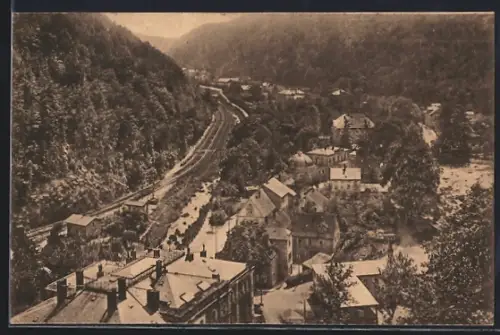 AK Tharandt /Badetal, Totalansicht aus der Vogelschau