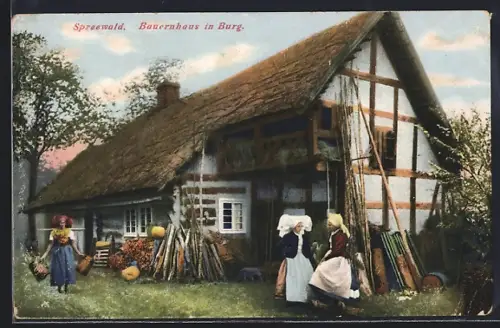 AK Burg /Spreewald, Bauernhaus im Spreewald