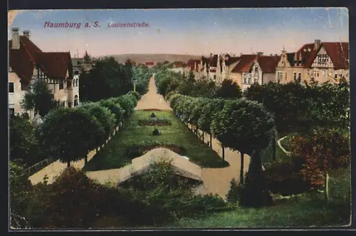 AK Naumburg a. S., Louisenstrasse mit Grünanlage