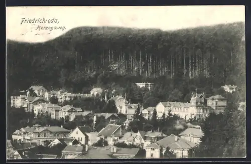 AK Friedrichroda, Ortsansicht mit Herzogsweg