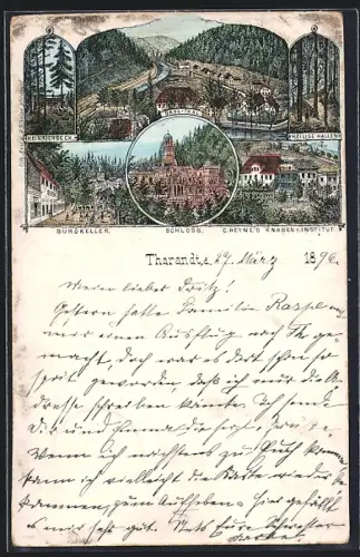 Lithographie Tharandt, Schloss, Restaurant Burgkeller, C. Heyens`s Knaben-Institut und Heinrichseck