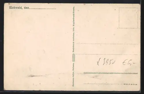 AK Eichwald, Villa Schweiz mit Ortspartie