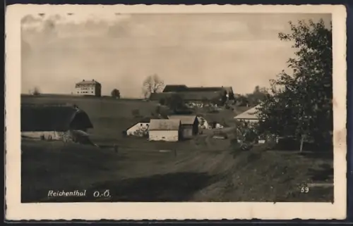 AK Reichenthal /O.-Ö., Ortspanorama mit Wiesen