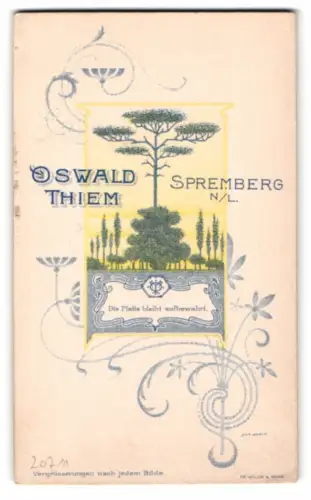 Fotografie Oswald Thiem, Spremberg, Landschaft mit riesigem Baum, Monogramm des Fotografen