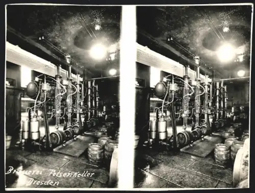 30 Stereo-Fotografien Ansicht Dresden, Brauerei Felsenkeller mit Stereo-Betrachter, Sudhaus, Lagerkeller, Verladehof