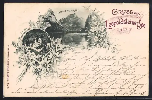 AK Leopoldstein, Schloss, Leopoldsteinerseee mit Gipfelpanorama, Bergblumen
