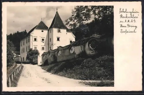 AK Trofaiach, Erholungsheim Stockschloss der A. M. A. G. Herm. Göring, mit Mauer und Strasse