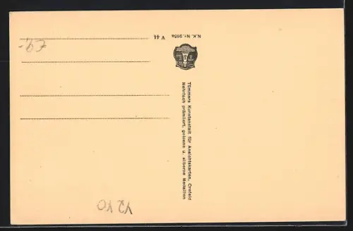 AK Emmerich a. Rh., Rheinpromenade