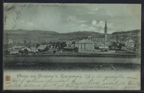 Mondschein-AK Freyung b. Regensburg, Ortsansicht mit Kirche