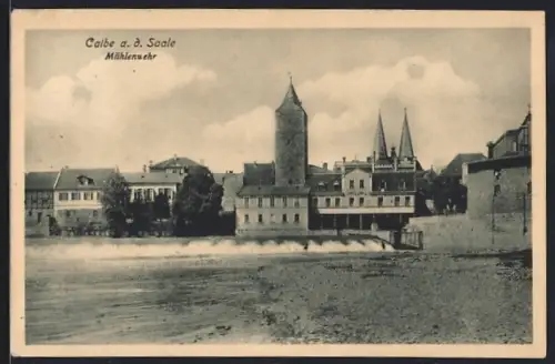 AK Calbe a. d. Saale, Mühlenwehr