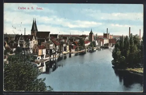 AK Calbe a. S., Totalansicht der Stadt an der Saale