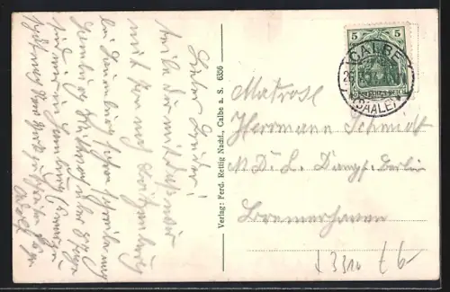 AK Calbe a. S., Totalansicht der Stadt an der Saale