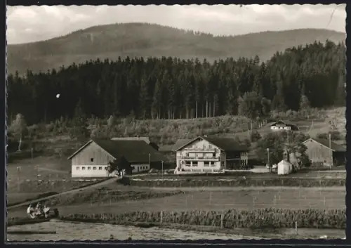 AK Bodenmais / Bayer.Wald, Panorama mit Blick auf Gasthof-Pension Böhmhof