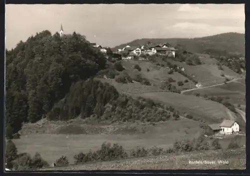AK Ranfels /Bayer. Wald, Ortsansicht mit Umgebung
