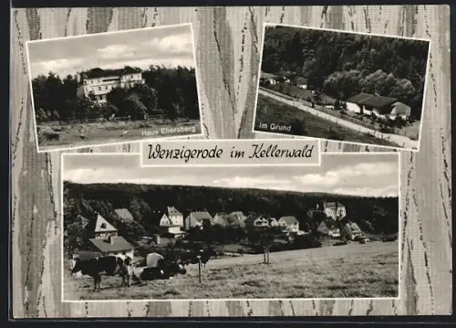 AK Zwesten-Wenzigerode im Kellerwald, Haus Ebersberg, Im Grund, Ortsansicht
