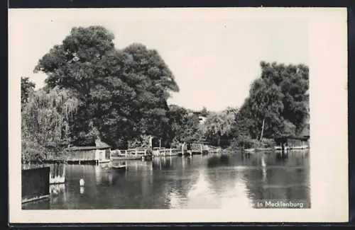 AK Malchow /Meckl., Uferpanorama vom Wasser aus