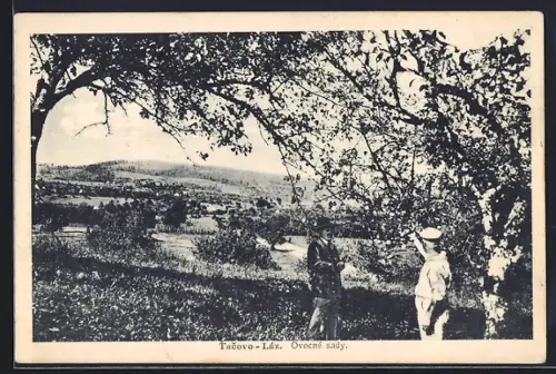 AK Tacovo-Láz, Ovocne sady