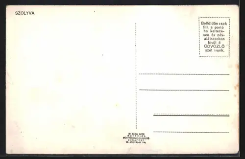 AK Szolyva, Panorama