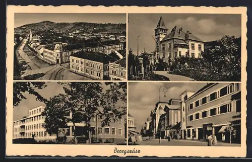 AK Beregszász, Panorama