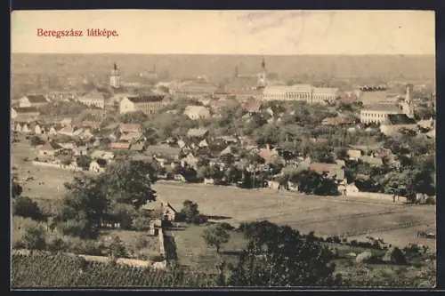 AK Beregszász, Beregszász látképe