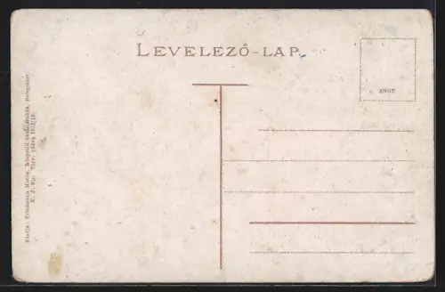AK Beregsas, Celkovy pohled, Teilansicht mit Kirche, Häuser und Strasse