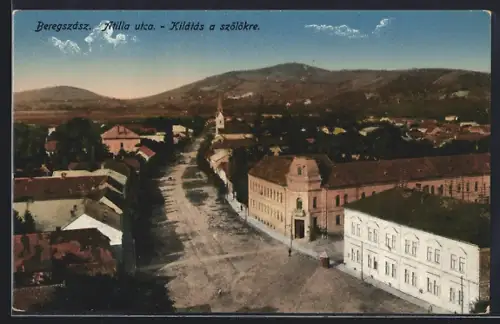 AK Beregszász, Atilla utca, Kilátás a szölökre