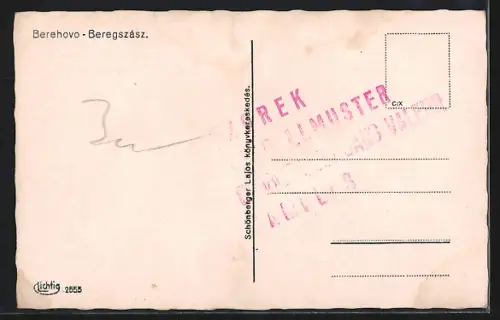 AK Beregsas, Ortsansicht aus der Vogelschau