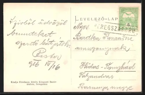 AK Beregszász, A város látképe