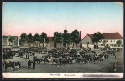 AK Buttstädt, Rossmarkt