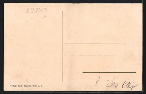 AK Calbe a. S., Marktplatz