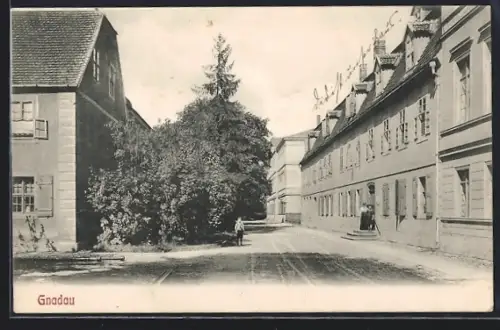 AK Gnadau, Strassenansicht mit Wohnhäusern