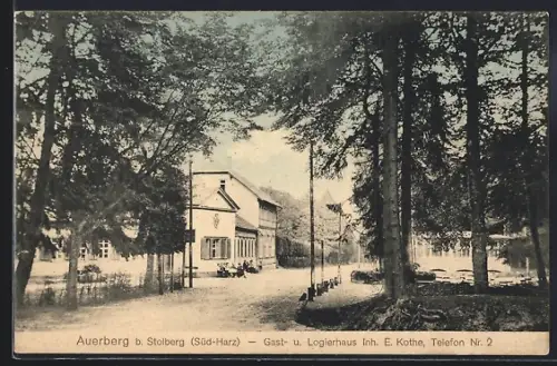 AK Auerberg / Harz, Gast- und Logierhaus, Inh. E. Kothe