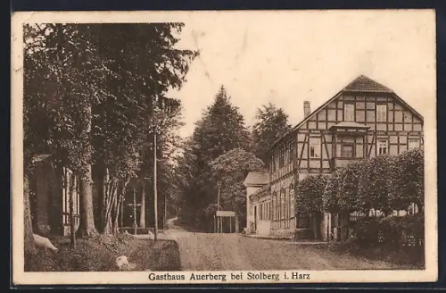 AK Stolberg i. Harz, Gasthaus Auerberg bei Stolberg