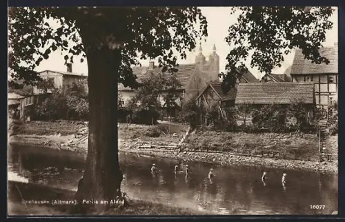 AK Seehausen /Altmark, Partie am Aland