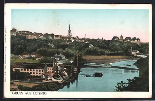 AK Leisnig, Stadtansicht mit Fabrik und Mulde