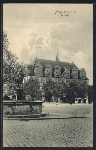 AK Naumburg a. S., Rathaus und Brunnen