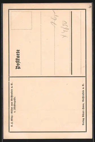 Künstler-AK Weissenfels, Pfeffergasse