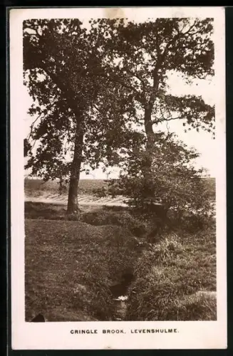 AK Levenshulme, Cringle Brook