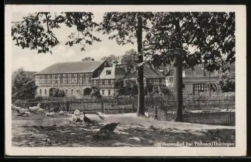 AK Wilhelmsdorf, Fachwerkgebäude, Bauernhof, Geflügelhaltung