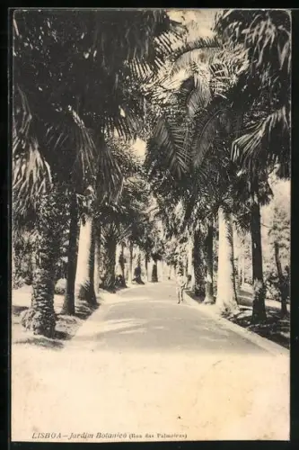 AK Lisboa, Jardim Botanico, Rua das Palmeiras