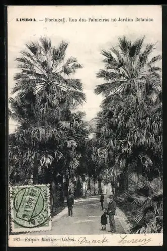 AK Lisboa, Rua das Palmeiras no Jardim Botanico
