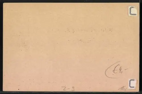 AK Hamburg, Briefbeförderung Hammonia, Ganzsache, Private Stadtpost