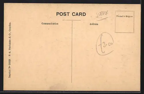 AK Bexhill-on-Sea, Our Ladye`s Convent, Chapel