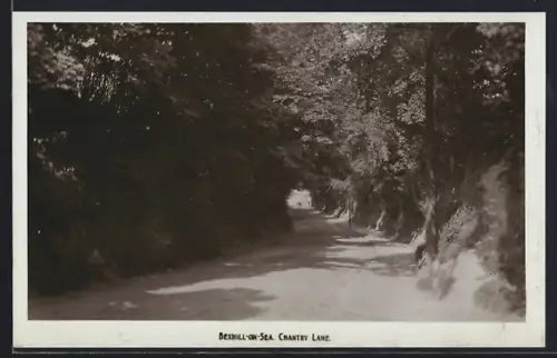 AK Bexhill-on-Sea, Chantry Lane