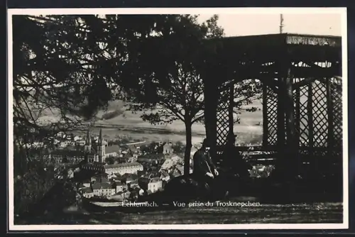 AK Echternach, Vue prise du Trosknepchen