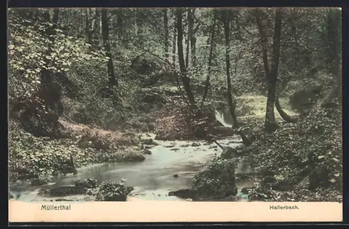 AK Müllerthal, Partie am Hallerbach