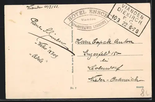 AK Vianden, Les ruines vues du couchant